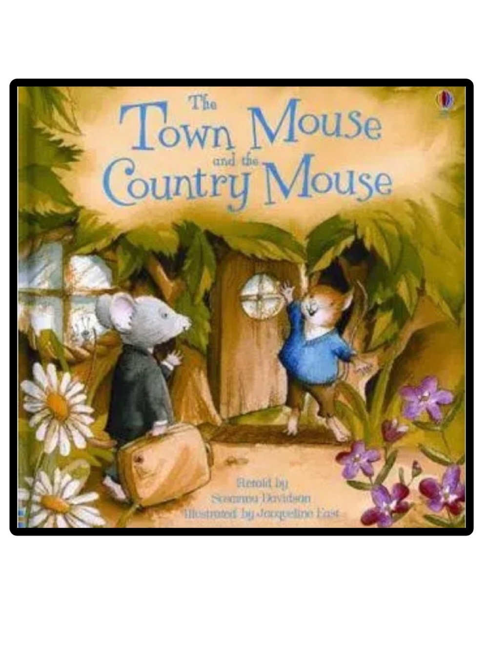 BUNDLE & SAVE🎉 Usborne The Town Mouse & the Country Mouse Book